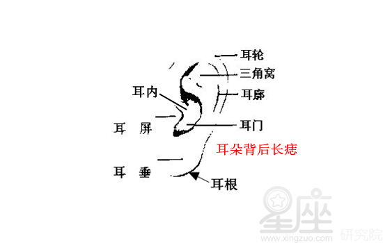 下巴长一根毛相学_耳朵会动的人 相学_看相学耳朵长痣图解