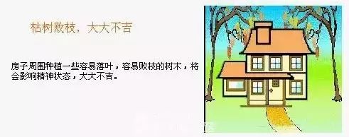 饭店住宅风水好不好学_住宅楼层风水_高层住宅房型设计风水