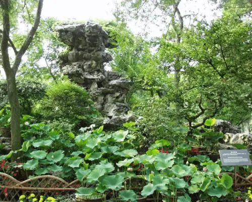 宅基地基础设计_宅基地建筑风水_宅基地建厂