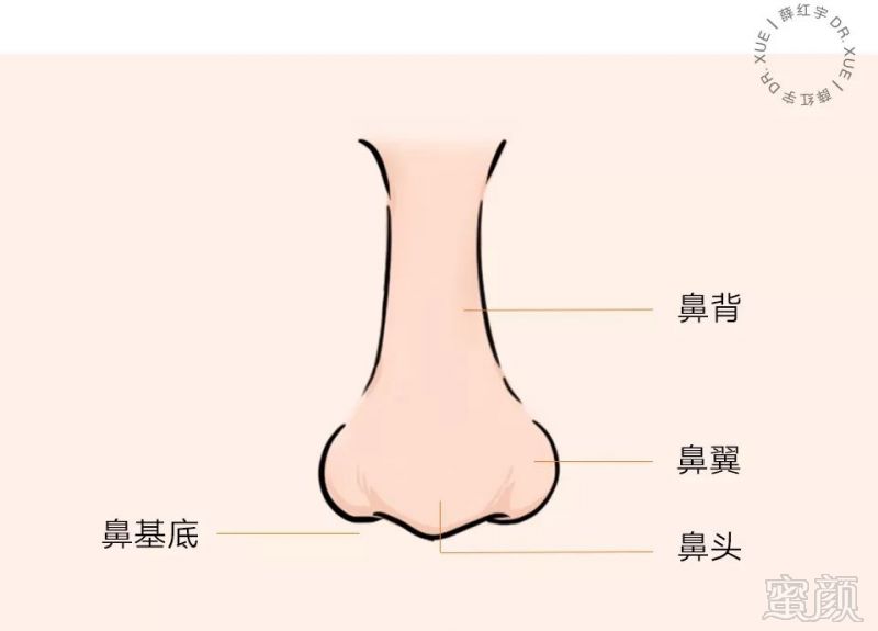 面相鼻翼宽男人好不好_鼻翼宽的男生面相_宽鼻翼男人面相