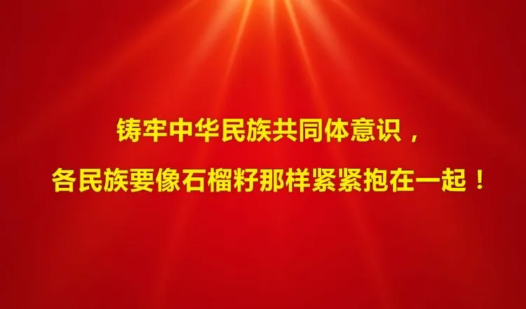 铸牢中华民族共同体意识和推广普及国家通用语言文字和推行使用国家统编教材