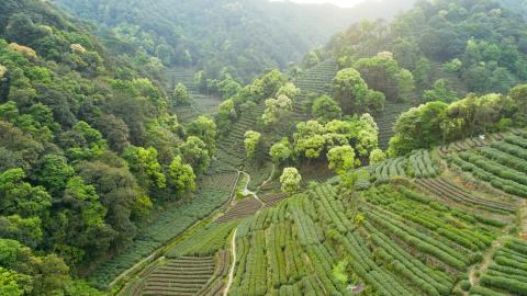 客厅风水装修禁忌表格图片_客厅装修风水禁忌_装修客厅风水禁忌