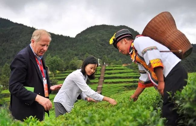 宣恩伍家台茶旅文化_宣恩宜红贡茶有限公司_茶台的文化句子