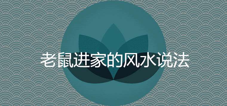 卧室老鼠最容易隐藏的地方_卧室老鼠特别多怎么办_卧室老鼠风水