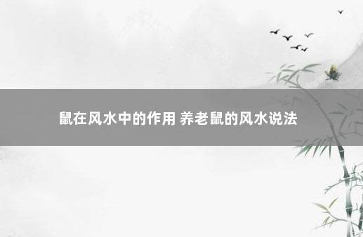 卧室老鼠风水_卧室老鼠最容易隐藏的地方_卧室老鼠特别多怎么办