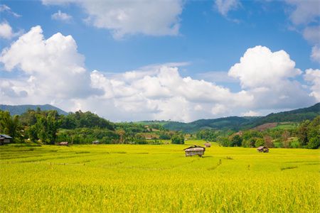 农村自建房开门见楼梯好不好，风水上有讲究