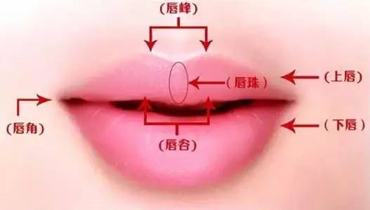 相学黄眼珠的人_手相学图解大全视频_眼珠相学大全图解