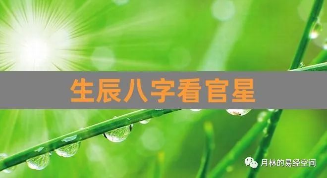 八字流年详批2021_八字怎么对照流年_流年八字含义