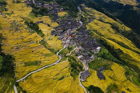 慈世堂：鱼缸里放硬币的风水禁忌有哪些