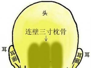 面相眉毛图_眉骨凸起面相学图解大全_面相眉毛分析图解