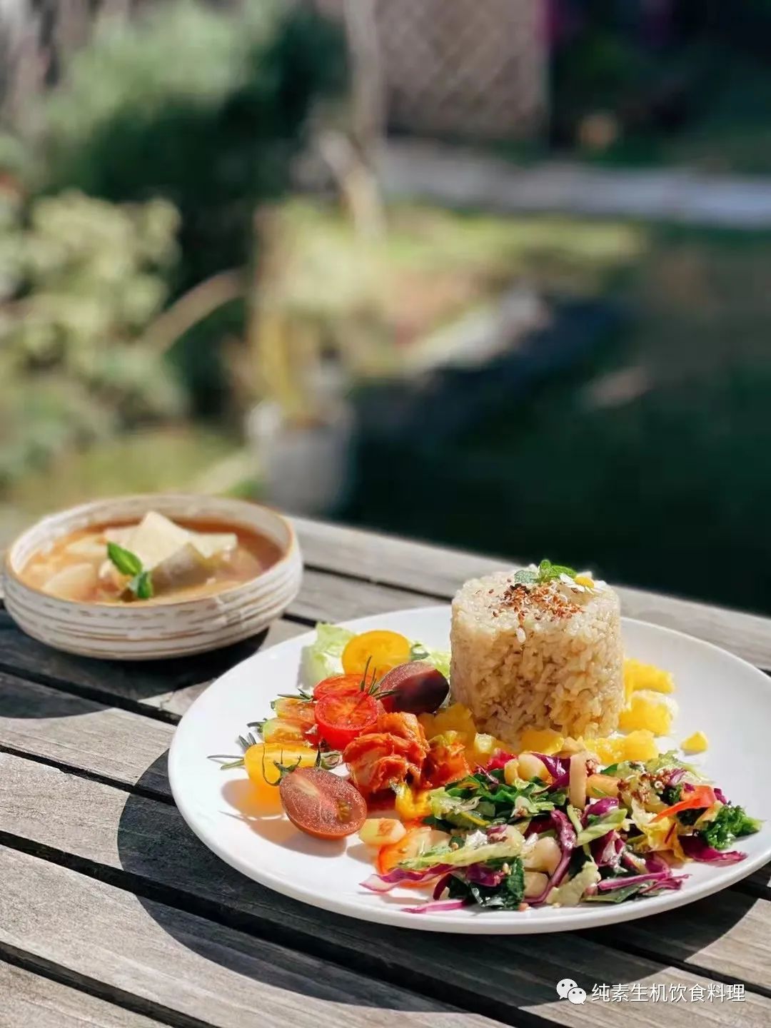 饮食素食植物性关系有哪些_植物性饮食与素食的关系_植物类食物和素食的区别