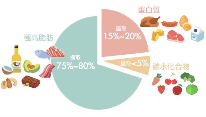 增肌饮食营养补充素食肉类_素食者增肌食谱_素食者增肌吃什么