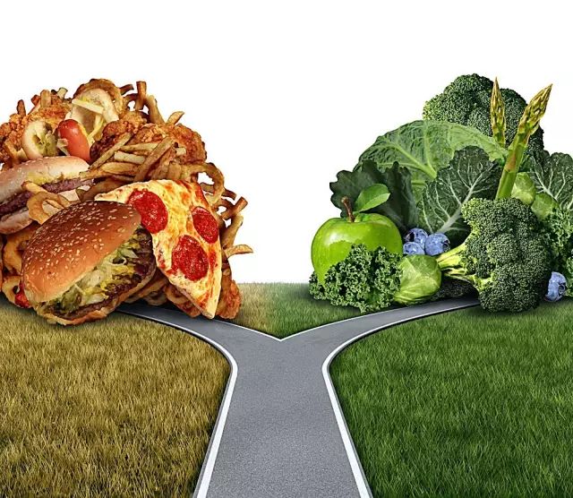 素食和植物性饮食的区别_饮食素食区别植物性食物_植物性饮食和素食的区别